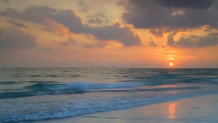 音乐短片 - 无悔