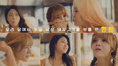 AOA - AOA代言韩国猪肉 CF 40S VER.