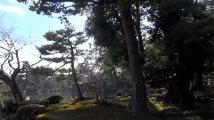 音乐短片 - 日本三名园