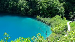 音乐短片 - 克罗地亚森林公园