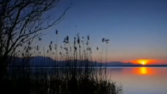 音乐短片 - 金枝欲孽.咏叹调