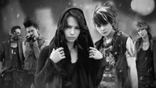 VAMPS 演唱会 アンプラグド