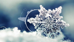 音乐短片 - The First Snowflakes