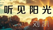  - 刘凯【听见阳光】20160325期
