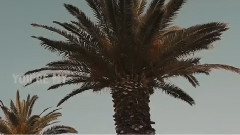 欧美群星 - In My Head