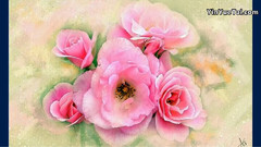 音乐短片 - 阿尔贝托吉兰