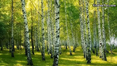 音乐短片 - 遥远的地方