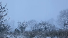 音乐短片 - Vivaldi Four Seasons Winter