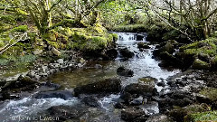 音乐短片 - RELAXING MUSIC