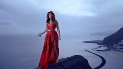 欧美群星 - Diese Nacht Ist Jede Sunde Wert