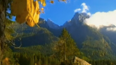 音乐短片 - Agnes Of God