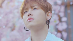 Block B - 几年后 预告版