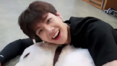 Jackson(GOT7),GOT7 - 2016 Jackson生日贺频