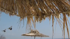 音乐短片 - Морски звуци край брега!