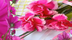 音乐短片 - Една БългарскаРоза