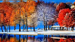 音乐短片 - From autumn to winter