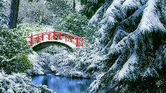 音乐短片 - Първи сняг!