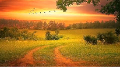 音乐短片 - Пътят към Слънцето!