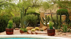 音乐短片 - Mulch