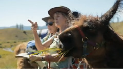 音乐短片 - Yellowstone