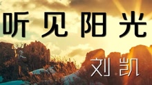  - 刘凯【听见阳光】20160326期