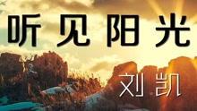  - 刘凯【听见阳光】20160327期