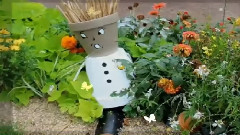 音乐短片 - Summer, scarecrow and friends