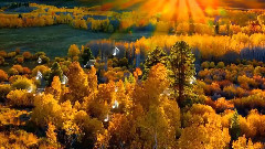 音乐短片 - с поезията на Таня Мезева