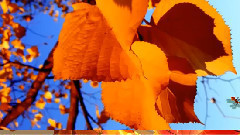 Andre Rieu - Autumn Leaves ... ... Andre Rieu