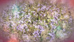 音乐短片 - 黄县林苑