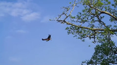 音乐短片 - 恢宏默奇森