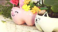 音乐短片 - DIY装修你的房子好漂亮的花盆