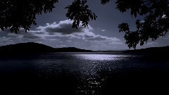 音乐短片 - Until Dying Day