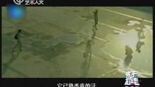 130312-音乐前线陈奕迅