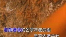 王 - 王杰-回家(原音)