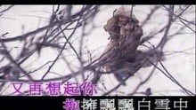 陈慧 - 陈慧娴-飘雪(伴唱)