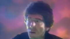 Stan Ridgway - Camouflage