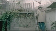 孙燕 - 孙燕姿-我不难过
