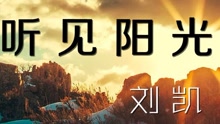  - 刘凯【听见阳光】20160331期