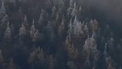 音乐短片 - 化蝶 笛子版