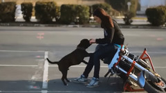 音乐短片 - People Are Awesome 2014-2015 (Festival Summer Party Mix)