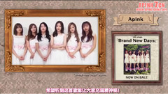 金南珠(Apink),朴初珑(Apink),吴夏荣(Apink),孙娜恩(Apink),Apink - 音流～ONRYU～ 采访Cut