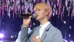 BTOB - 春天的记忆