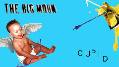 欧美群星 - Cupid