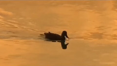 音乐短片 - Visions