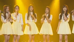 Lovelyz - 老虎梨子和声