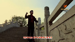 华语群星 - 涛声依旧