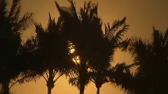 音乐短片 - 叙事曲