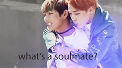 防弹少年团 - What's A Soulmate 95line