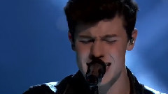 Shawn Mendes - Stitches